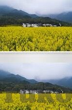 91av麻豆传媒国内14部-把握网络健康趋势