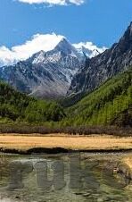 91麻豆视频免费-91麻豆视频免费——开启数字化时代的娱乐新篇章