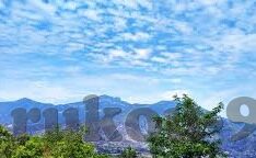 大象传媒国产18-大象传媒国产18，探索国产成人内容的新视角与挑战