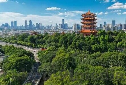 大象传媒黄app免费-探索大象传媒黄app的免费魅力，一场视觉与体验的盛宴