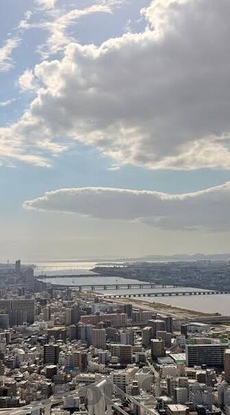 麻豆视频直接看-1. 了解正当资源的信息获取渠道