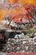亚洲Av日韩Aⅴ欧美Av-亚洲、日韩与欧美AV文化的多元视角