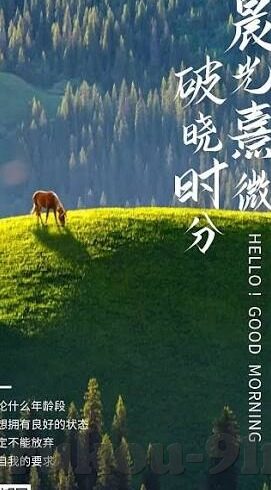 亚洲国产日韩欧美一区二区三区-探索亚洲影视文化的多元视角，日韩与欧美一区二区三区的交融与差异